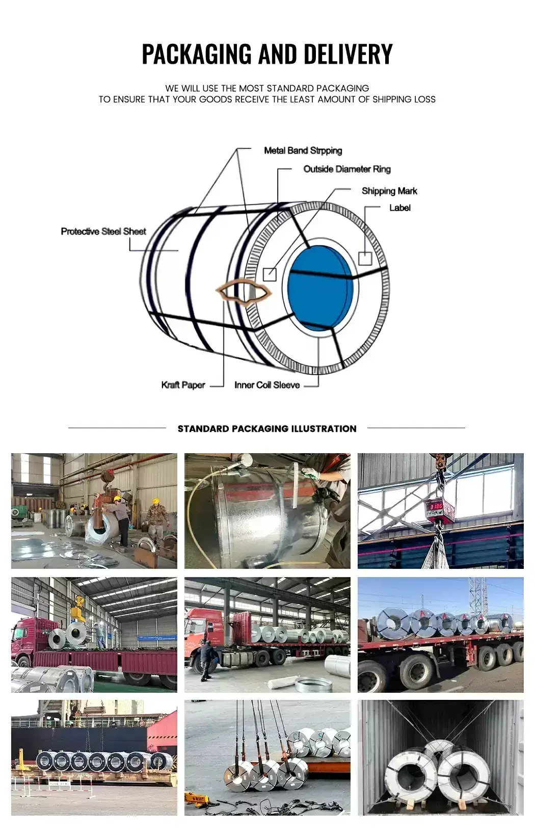 DX52D Galvanized Steel Coil5